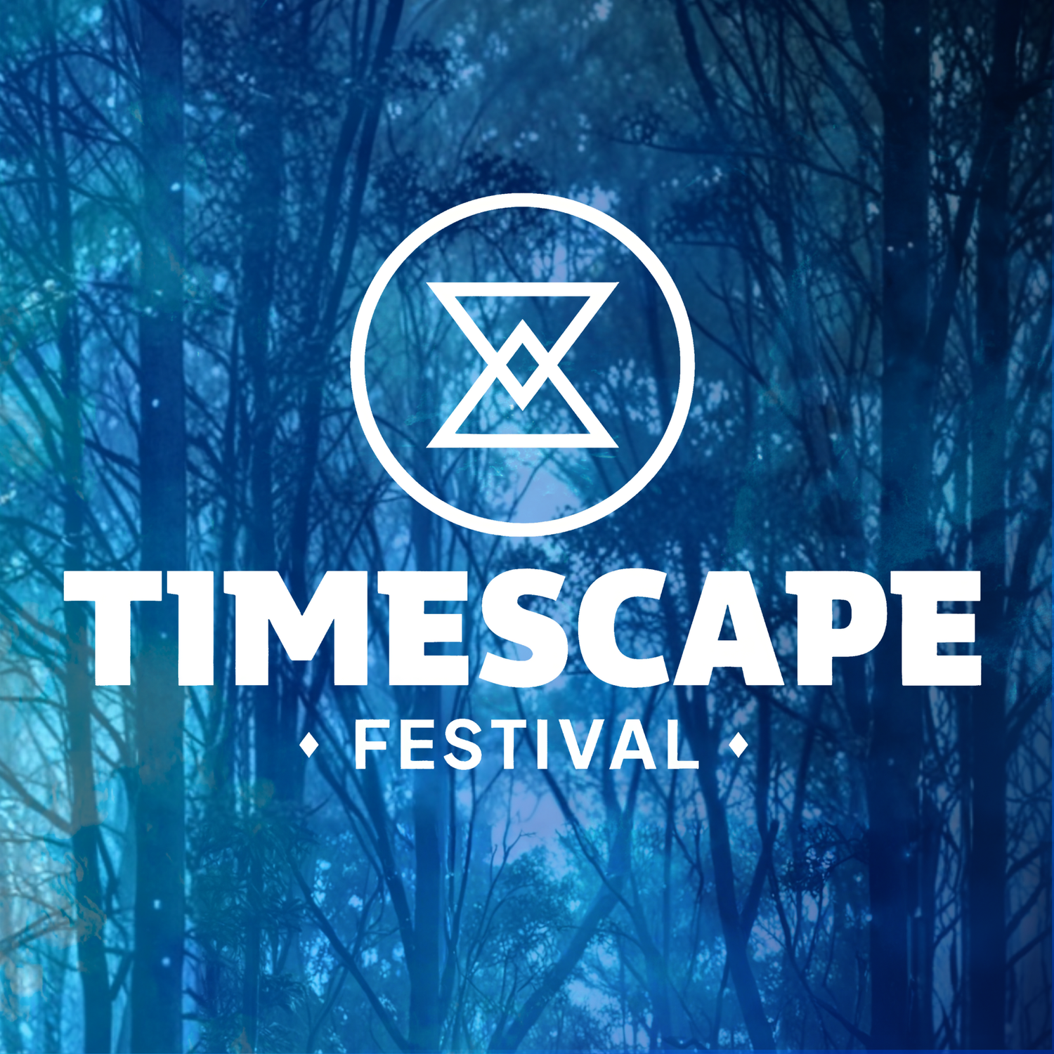 The Official Timescape Festival Collection